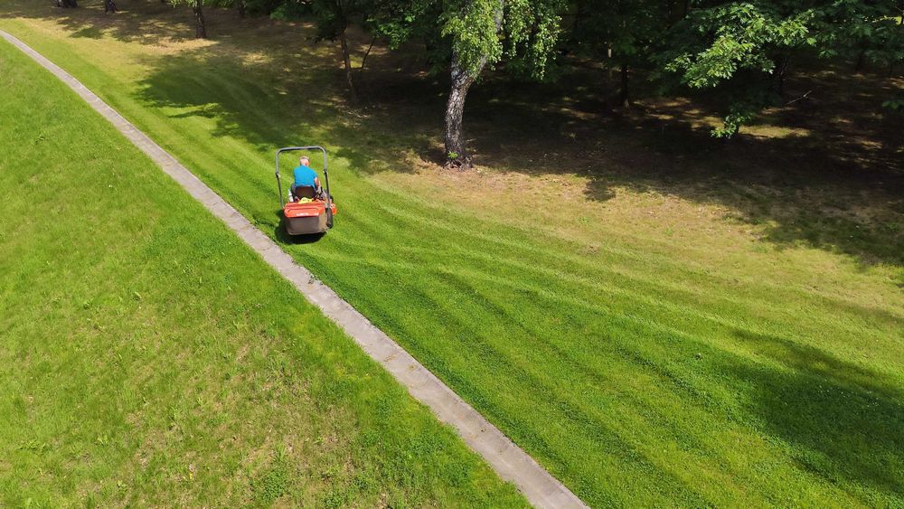 Przycinanie drzew. Żywopłoty. Pielęgnacja ogrodów.Oczyszczanie działek