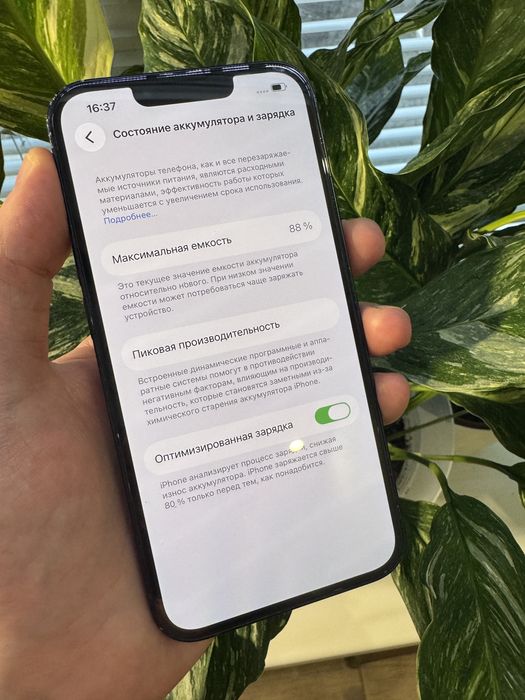 Iphone 13 128 black never