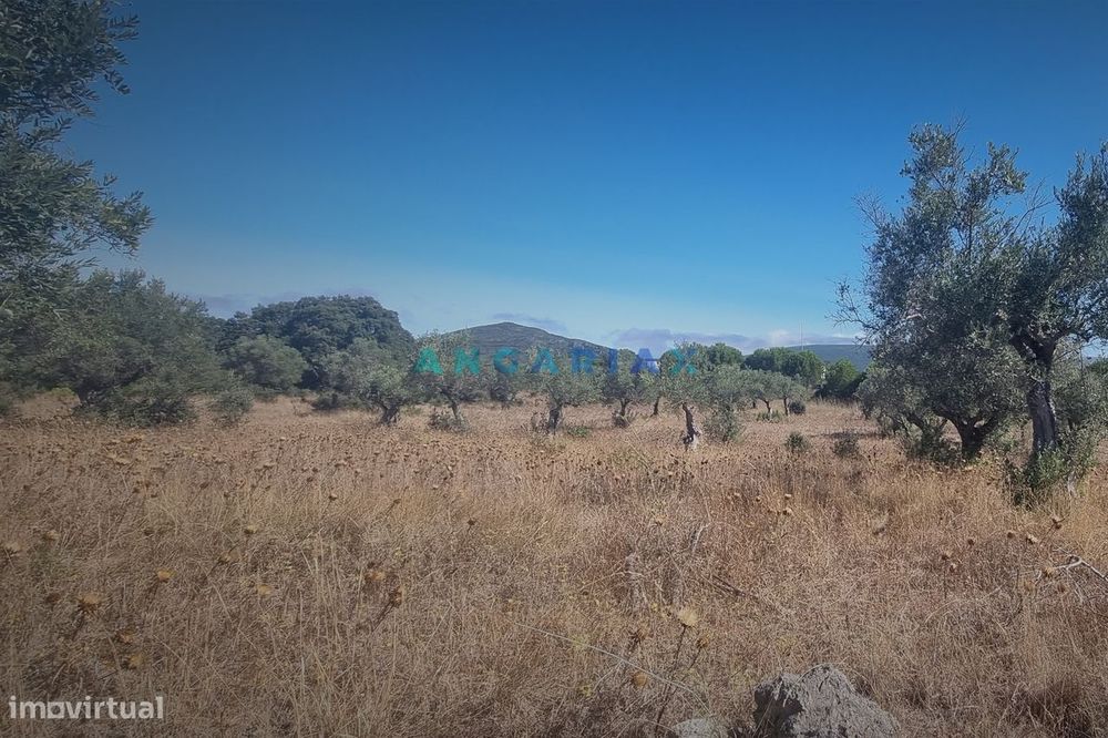 ANG1195 - Terreno para Venda em Alcanena, Santarém