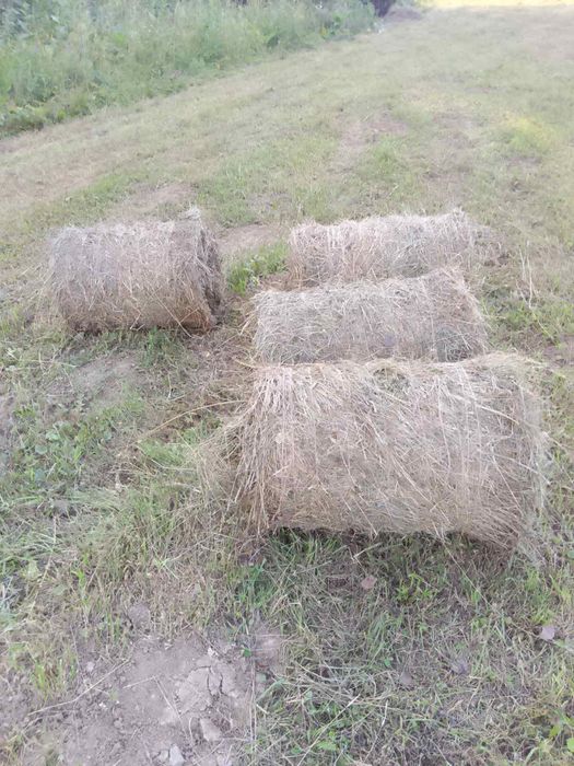 Продам сіно у тюках