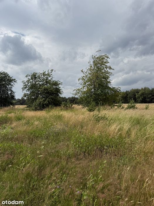 Działka budowlana 1281 m² z pozwoleniem na budowę w spokojnej okolicy