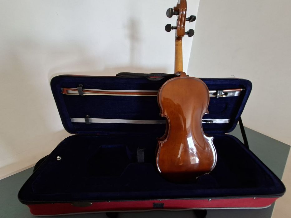 Viola D'Arco Stentor