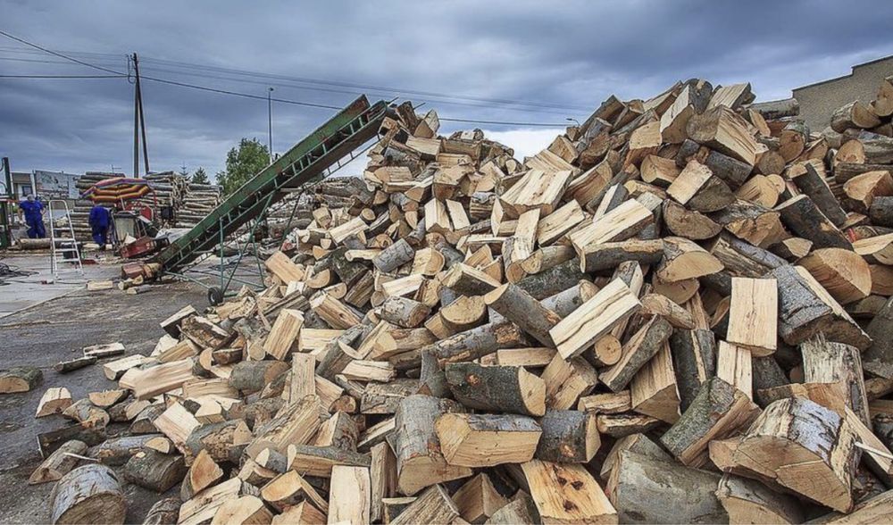 Drewno kominkowe drzewo opał drzewny brzoza buk dąb sosna olcha