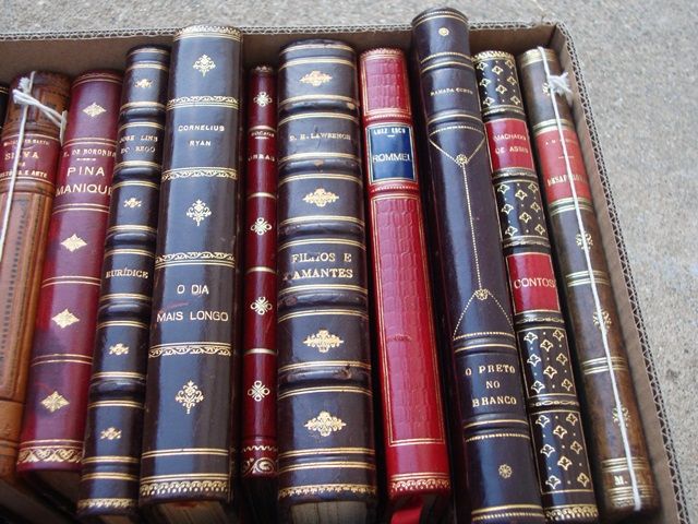 Literatura Diversa