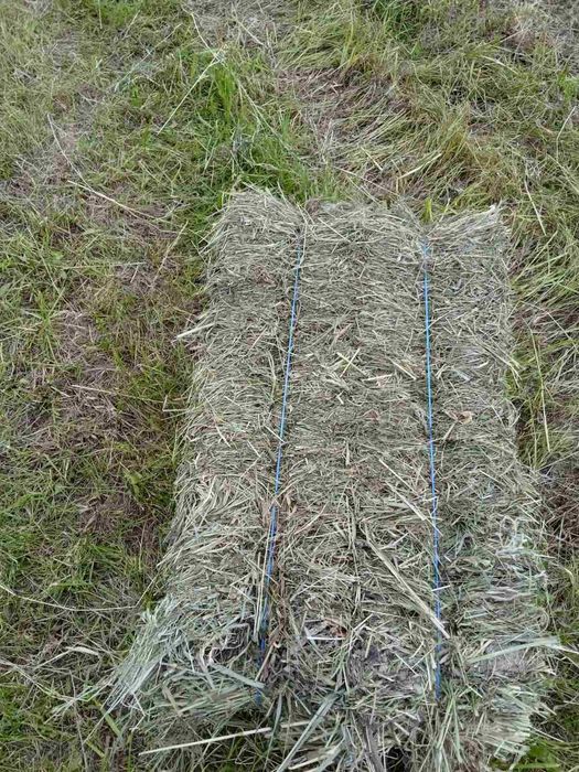 Продам сіно городнє,солому. Все в тюках.