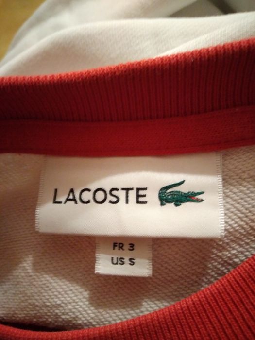 Bluza Lacoste czerwono biało granatowa.