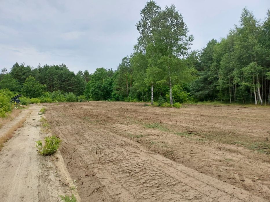 Mulczowanie Karczowanie Rekultywacja Czyszczenie działek