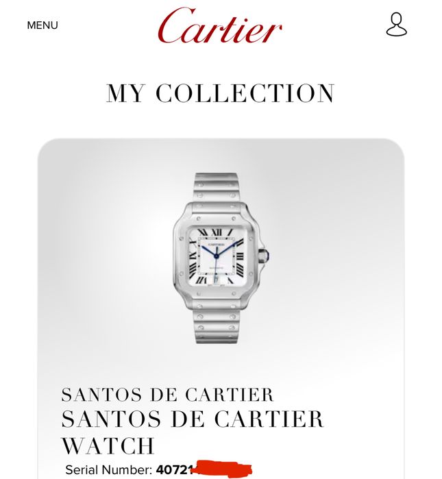 Cartier Santos Iced Out ref. WSAA0018