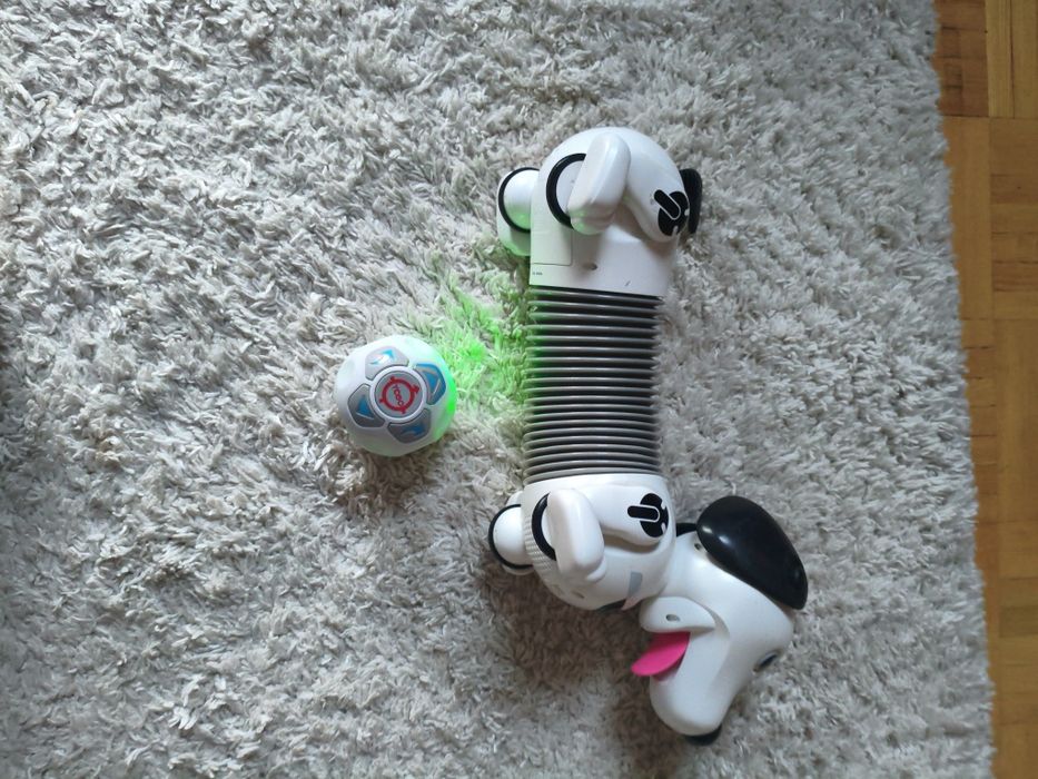 Interaktywny robot pies Dackelbot YCOO – zdalnie sterowany