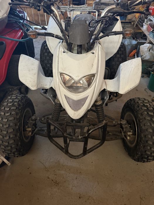 qlad sinner high 250