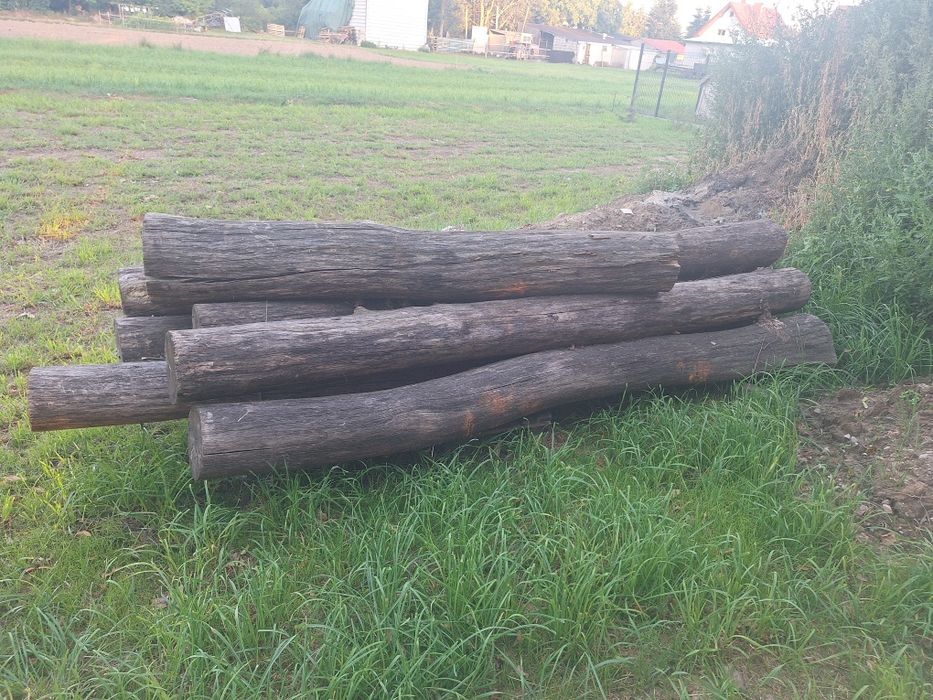 Bale dębowe stemple na altane dąb