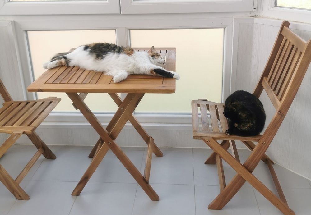 Conjunto de Jardim Kasa (Mesa + 2 Cadeiras) em Madeira de Acácia – Como Novo