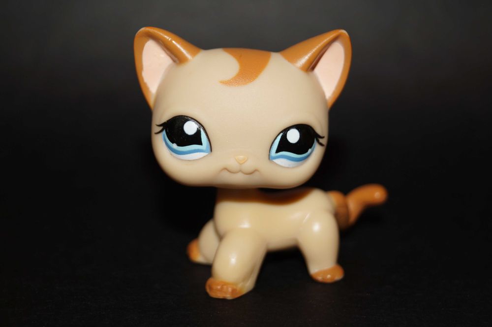 Littlest Pet Shop shorthair #1024 LPS oryginał 100% Stanowice •