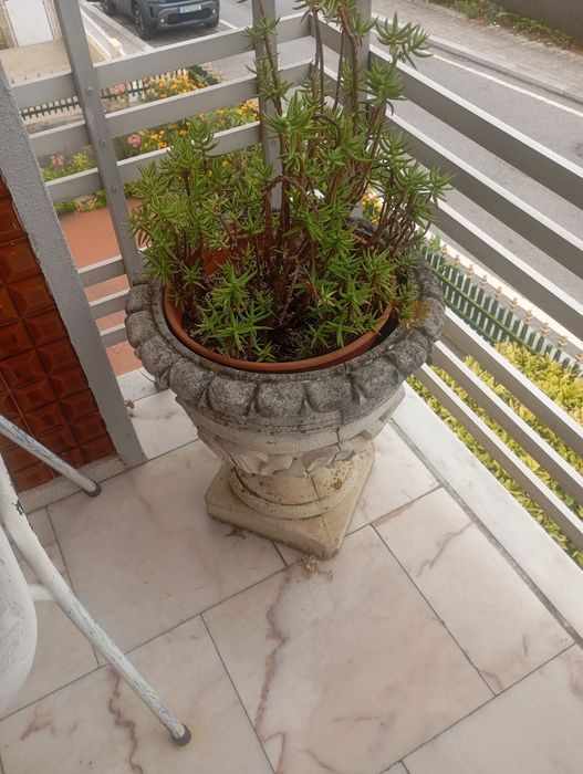 Vendo este vaso muito bonito bom estado