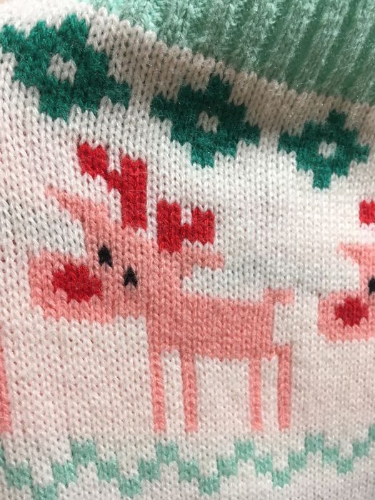 Одежда для собаки.