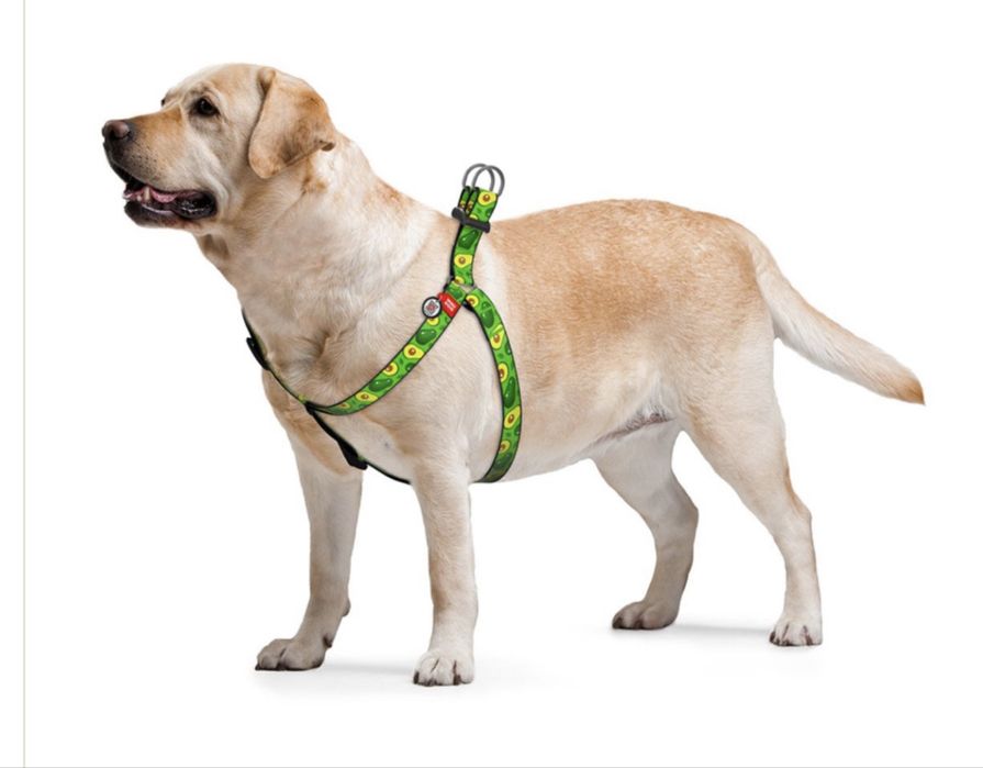 Продам набор шлея+ поводок вкусняхи в подарок