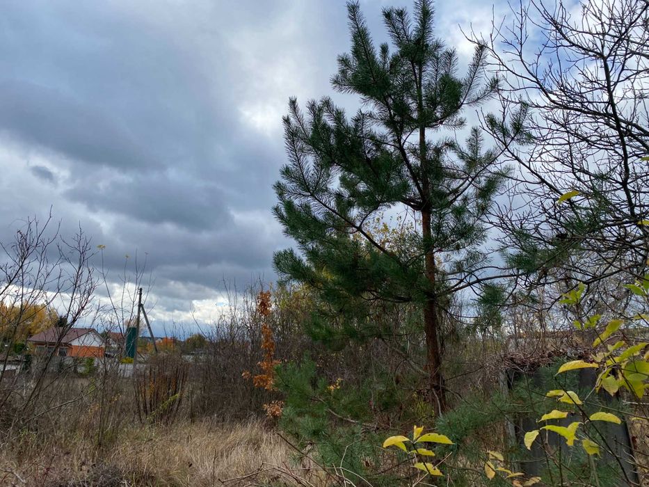 Земля для будівництва 30 сот, під лісом. Передмістя Черкас Геронимівка