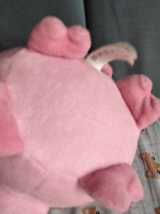 Świnka pluszak gang