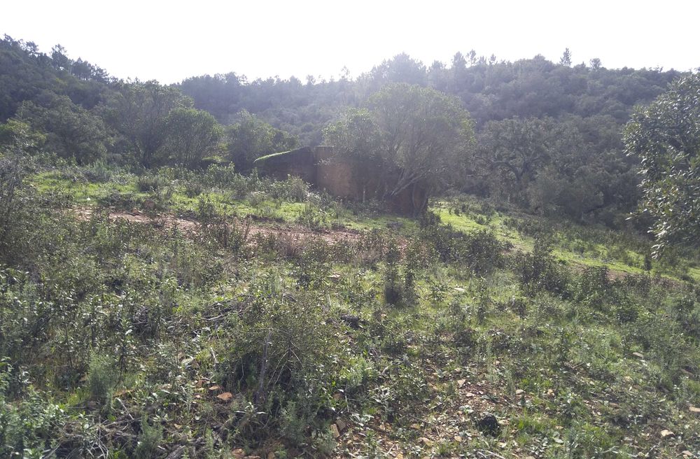 Terreno com Ruína Legalizada – 11,85 ha – Aljezur