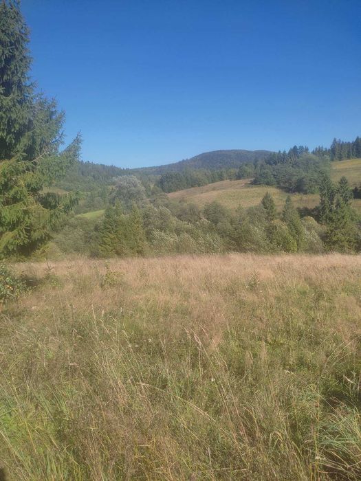 Продаж земельної ділянки у мальовничому селі Верхнє Висоцьке