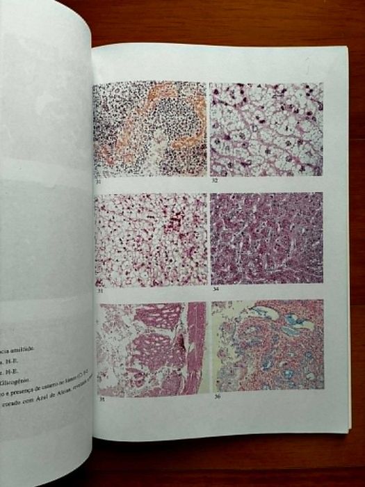Caderno de Aulas Práticas de Patologia Geral