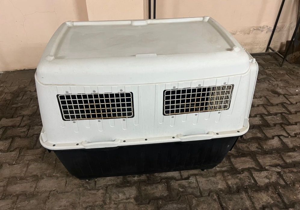 Клетка для собак переноска (авиа бокс) XXXL IATA GIANT