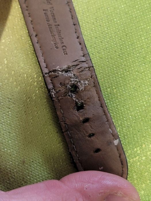 Zegarek Aztorin A031.G106