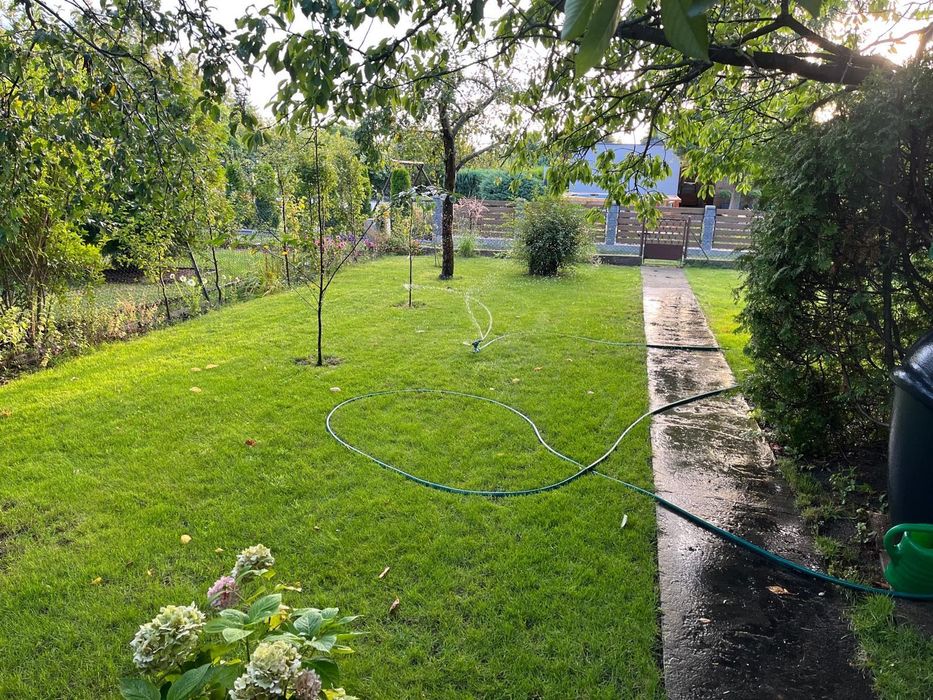 Sprzedam działkę ROD – 420 m² (ROD im. T. Kościuszki, Płock)