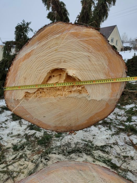 Стовбур кругляка  ялини діаметр 66 см