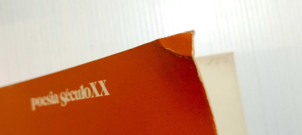 Poemas escolhidos - Jorge Luis Borges