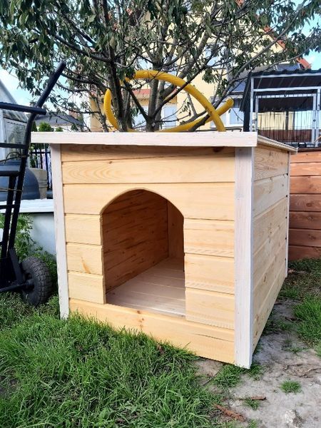 kojec klatka zagroda box buda dla psa dowóz montaż szybka realizacja