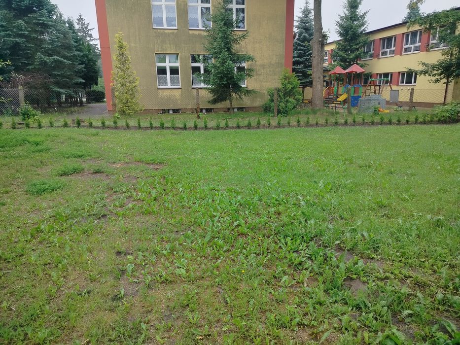 Usługi ogrodniczo-budowlane