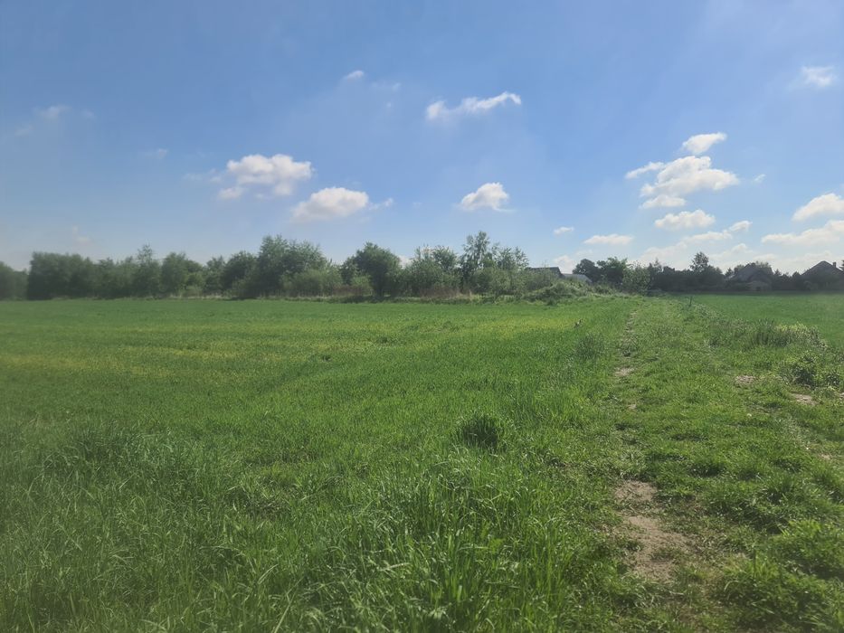 Piękna działka budowlano-rolna. Bezterminowe WZ. Miejsce na siedlisko Niedaleko Oświęcim, Zator. Las. - Widok 3
