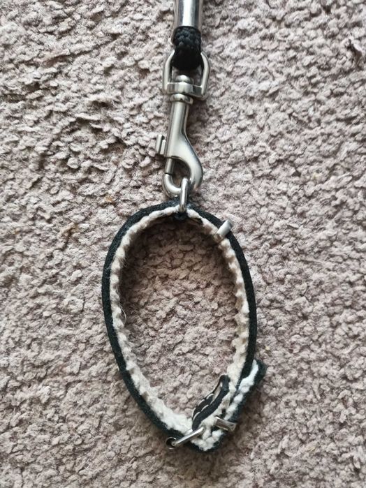 повідок з нашийником для мілкого домашнього улюблинця