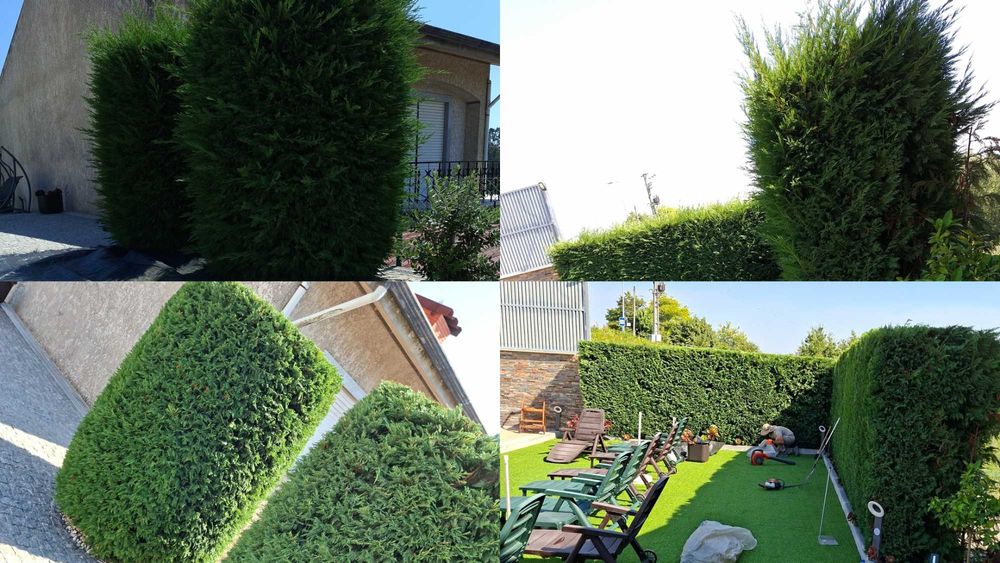 Construção e Manutenção de Jardins em Gaia.