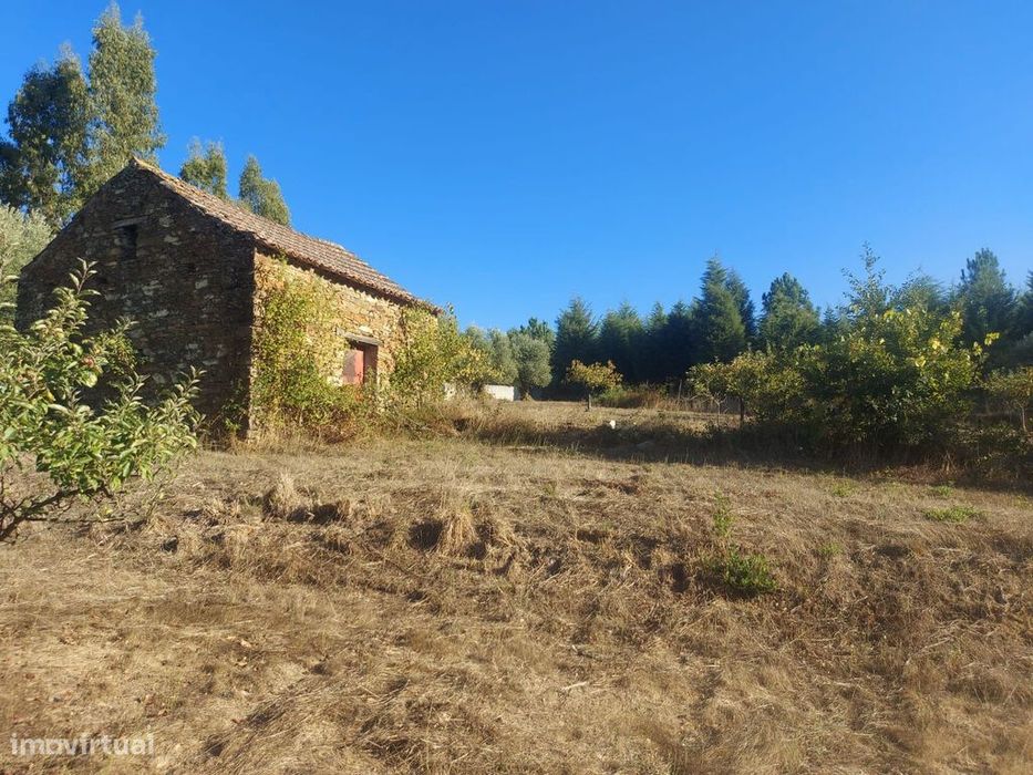 Quinta c/casa agrícola 6975m2 Meda de Mouros — Pinheiro De Coja E Meda De Mouros, Coimbra
