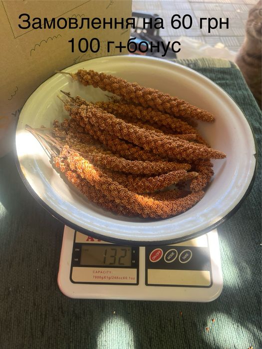 Чумиза на вагу 2025, 100 г