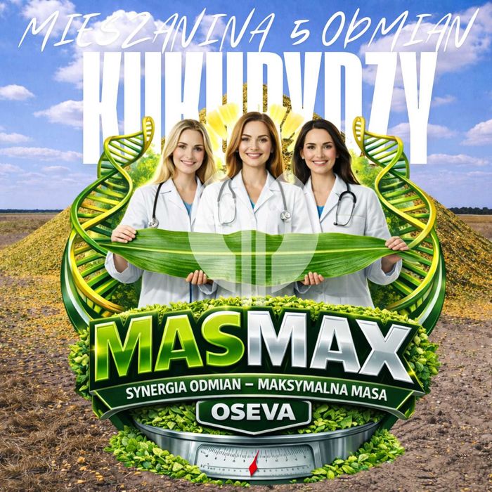 MASMAX Mieszanka 5 odmian kukurydzy mieszanka odmian na kiszonkę