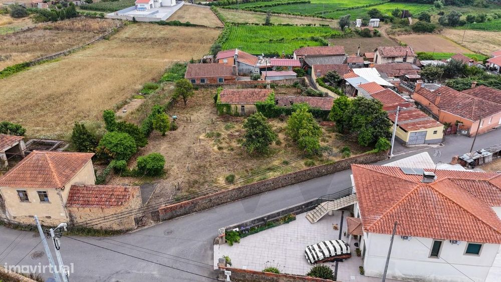Plot of land measuring 1350 m² with a 42-meter frontage in Branca – Ideal for 3 detached houses