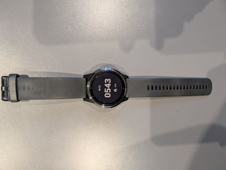 Smartwatch Garmin Vivoactive 4 GPS