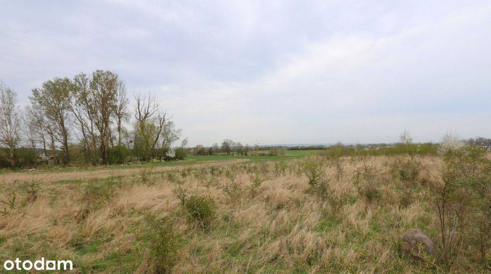 Działka z PANORAMĄ SZCZECINA/ Dzwonić w godz.8-22, także w weekendy. - View 5
