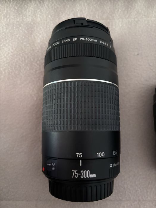 Canon EOS 2000D com 2 lentes e tripé
