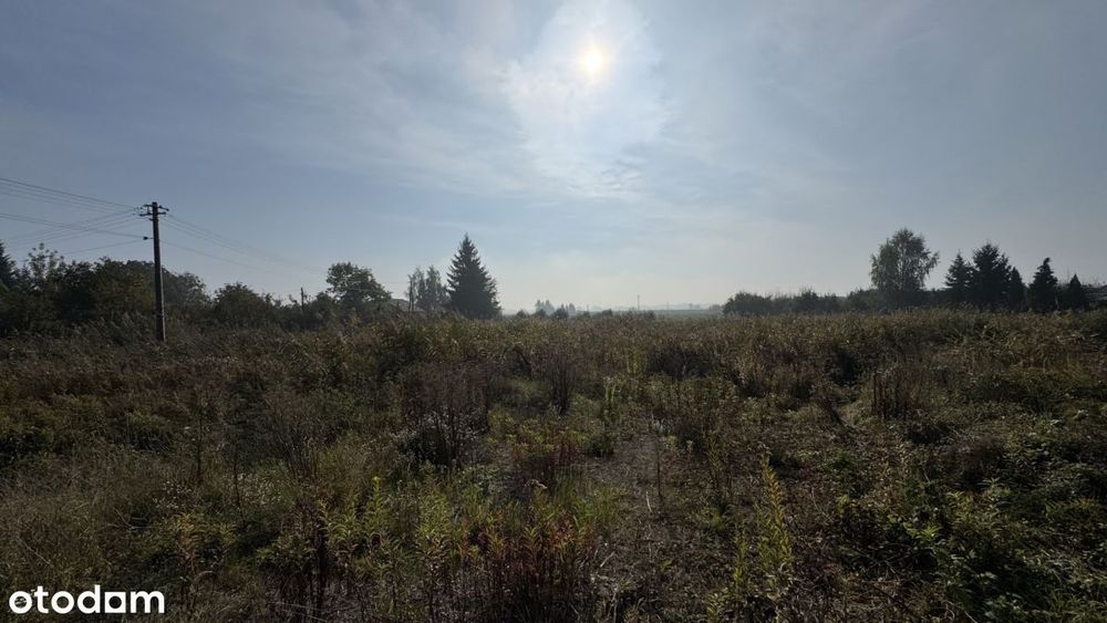 Działka Usługowa 54 Ary | Złota - Widok 3