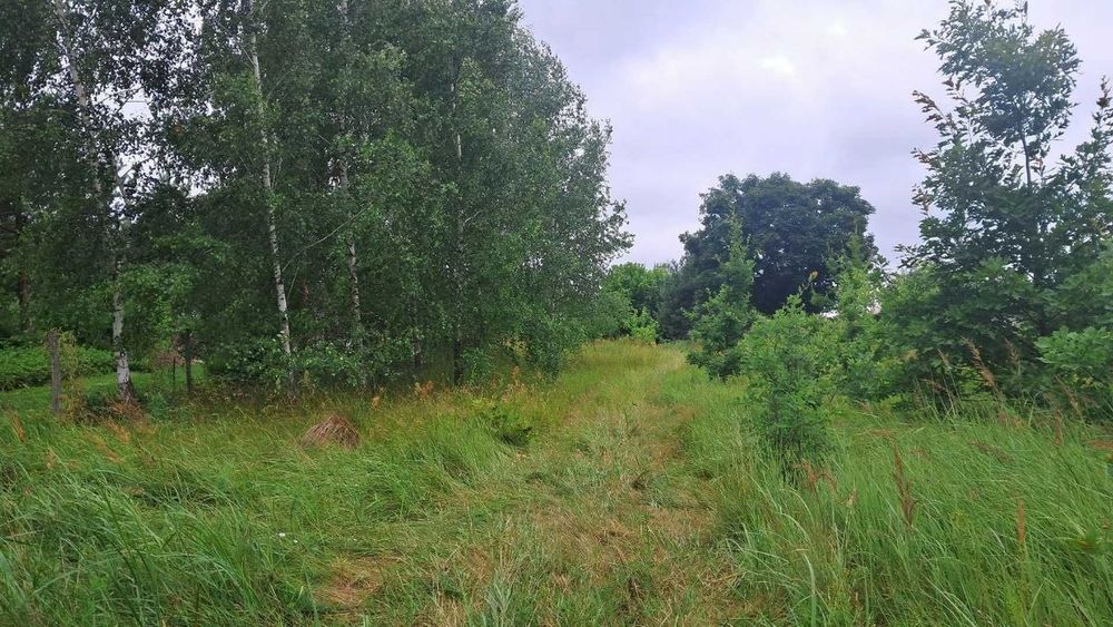 СМ Земельна ділянка для будівництва будинку мрії біля лісу