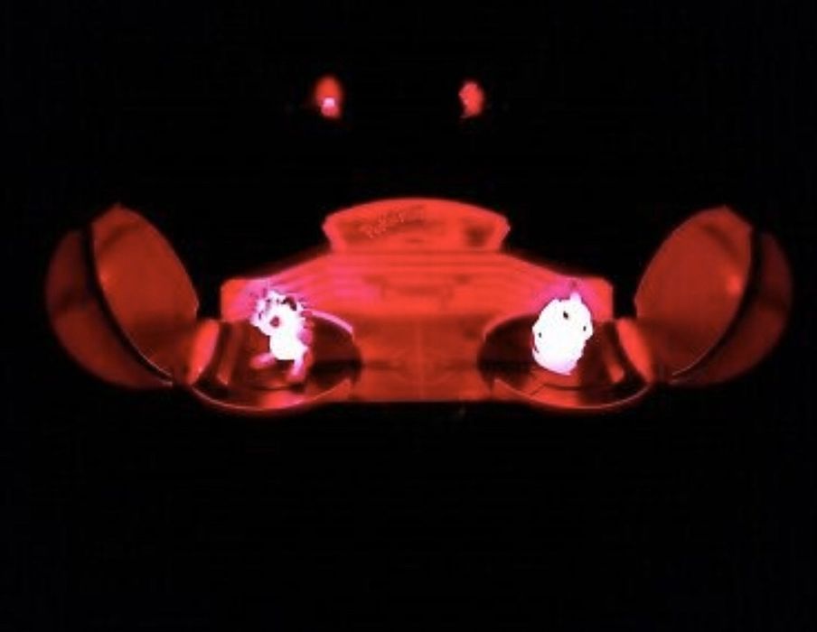 Pokemon. Interativo. Colecionismo.