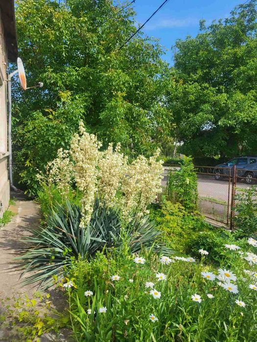 Продаж цегляного будинку з гарною земельною ділянкою, центр міста.