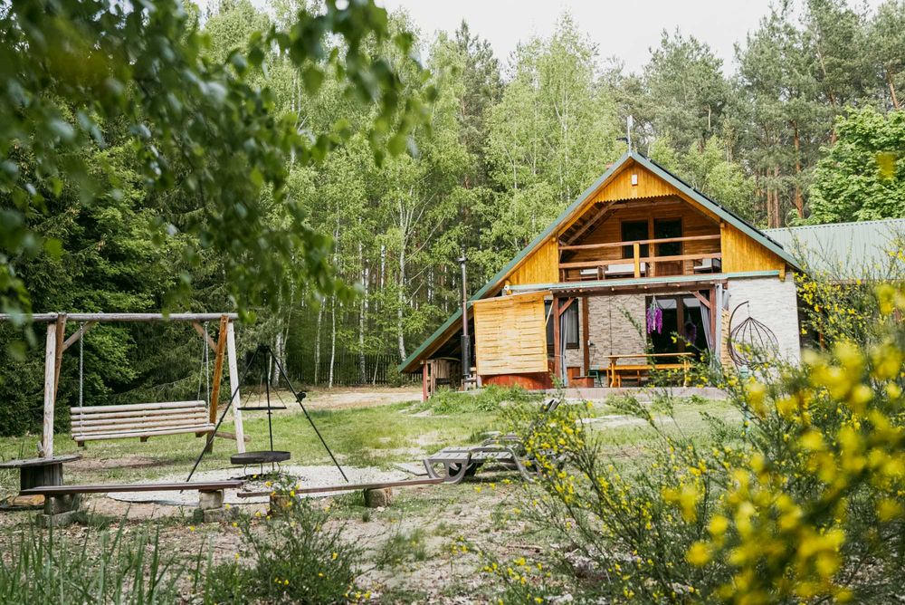 Zacisze leśne Julianka