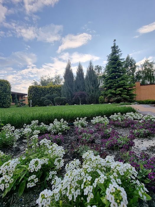 Ландшафтный дизайн и озеленение