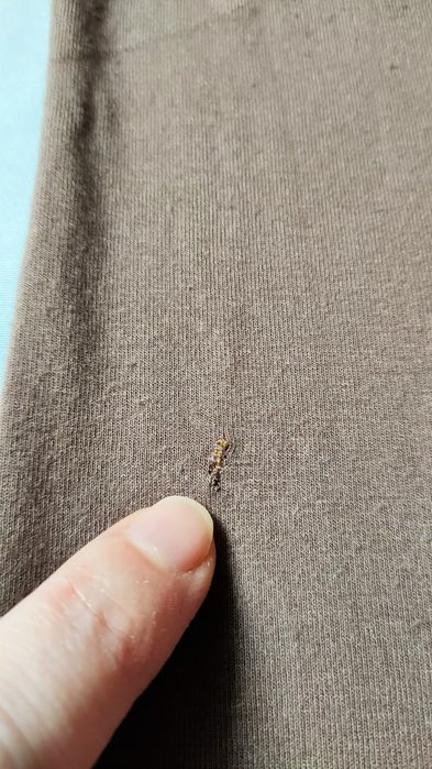 Brązowy turecki golf damski wiskoza stan dobry