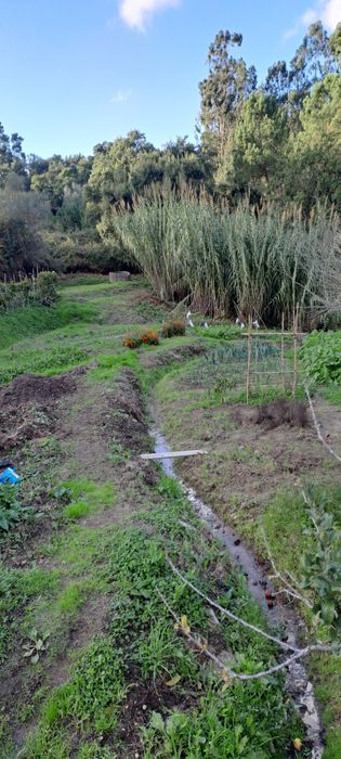 espectacular LOUSA LOURES 1.6 hectares a 15 min da capital Lisboa